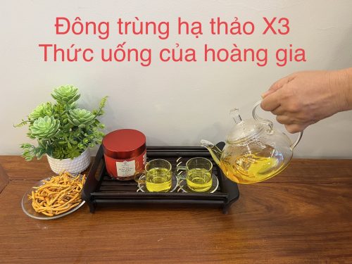 Đông trùng hạ thảo X3 Premium