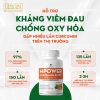 Viên uống hỗ trợ kháng viêm, giúp chống oxy hóa hiệu quả cao – Mpower Curcumin Plus [Nghệ]