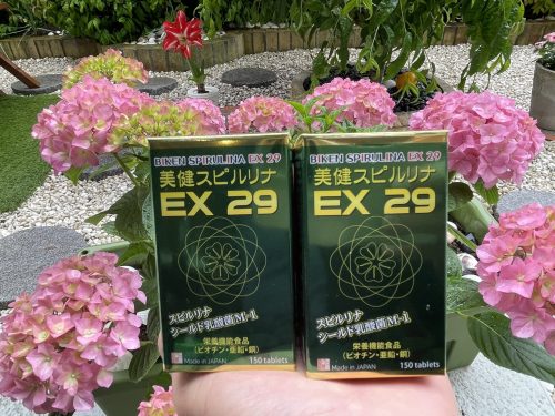 Thực phẩm bảo vệ sức khỏe BIKEN SPIRULINA EX 29