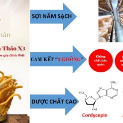 Đông trùng hạ thảo X3 Hoàng gia