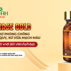 Thực phẩm bảo vệ sức khỏe BIKEN KINASE GOLD