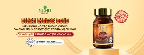 Thực phẩm bảo vệ sức khỏe BIKEN KINASE GOLD