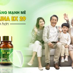 Thực phẩm bảo vệ sức khỏe BIKEN SPIRULINA EX 29