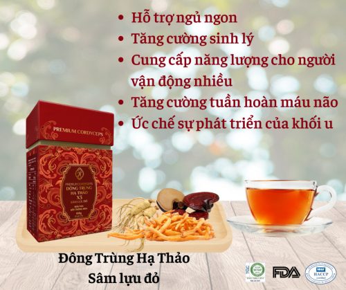 Đông trùng hạ thảo X3 Hoàng gia