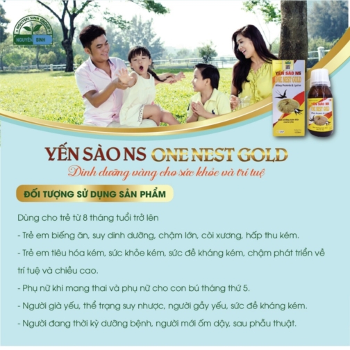 Thực phẩm bảo vệ sức khỏe Yến Sào NS One Nest Gold