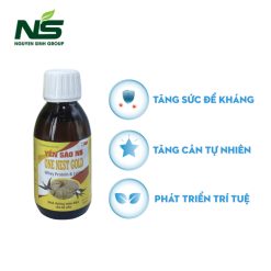 Thực phẩm bảo vệ sức khỏe Yến Sào NS One Nest Gold