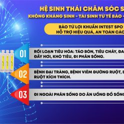 Bào tử lợi khuẩn Intest Hỗ trợ giảm triệu chứng rối loạn tiêu hóa do loạn khuẩn đường ruột