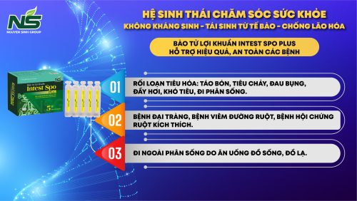 Bào tử lợi khuẩn Intest Hỗ trợ giảm triệu chứng rối loạn tiêu hóa do loạn khuẩn đường ruột