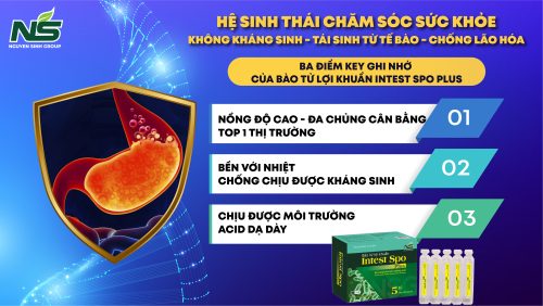 Bào tử lợi khuẩn Intest Hỗ trợ giảm triệu chứng rối loạn tiêu hóa do loạn khuẩn đường ruột