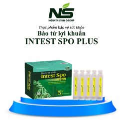 Bào tử lợi khuẩn Intest Hỗ trợ giảm triệu chứng rối loạn tiêu hóa do loạn khuẩn đường ruột