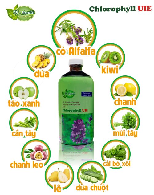 Thực phẩm bảo vệ sức khỏe TH- Chlorophyll UIE PLUS